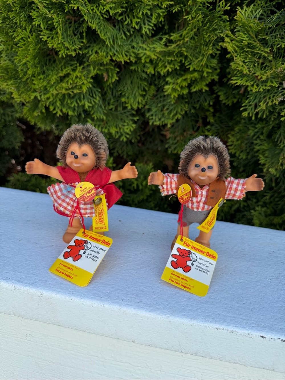 Vintage Steiff Micki & Mucki Hedgehog Doll Pair 5” - With All Tags & Buttons
